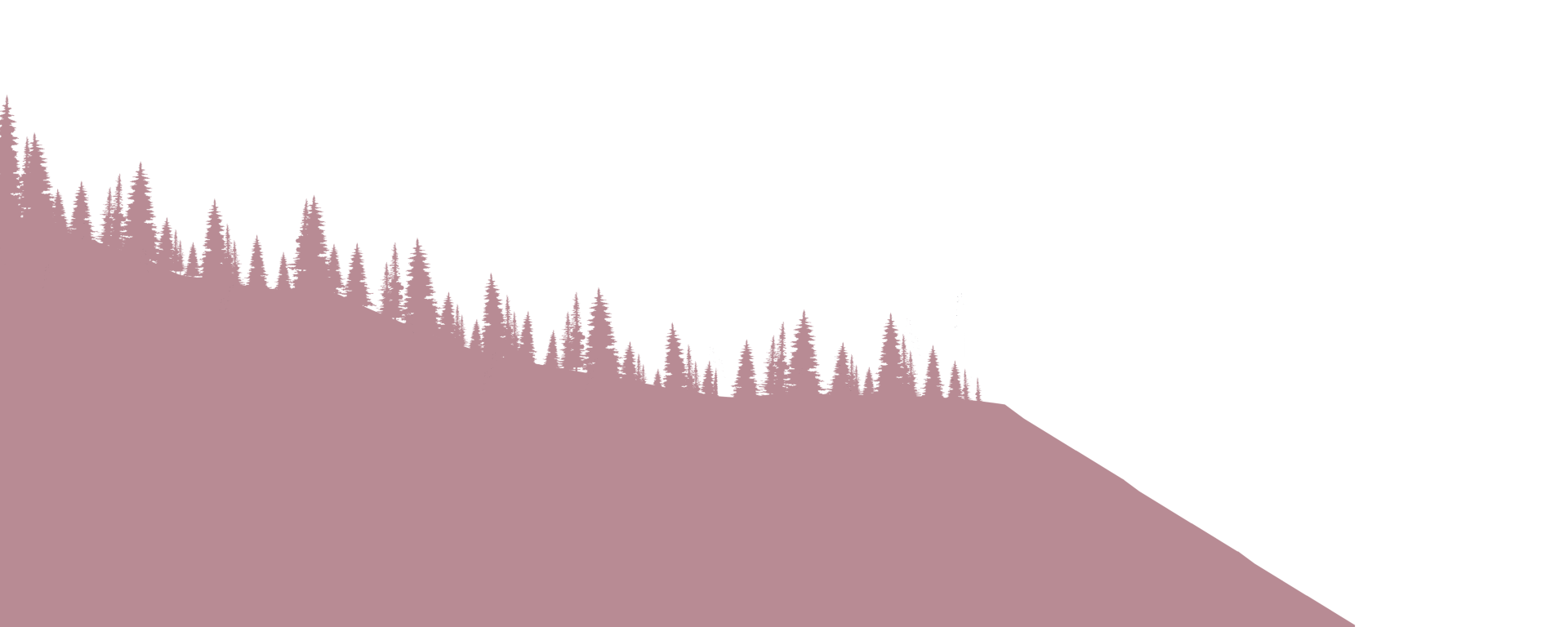 Layer 4