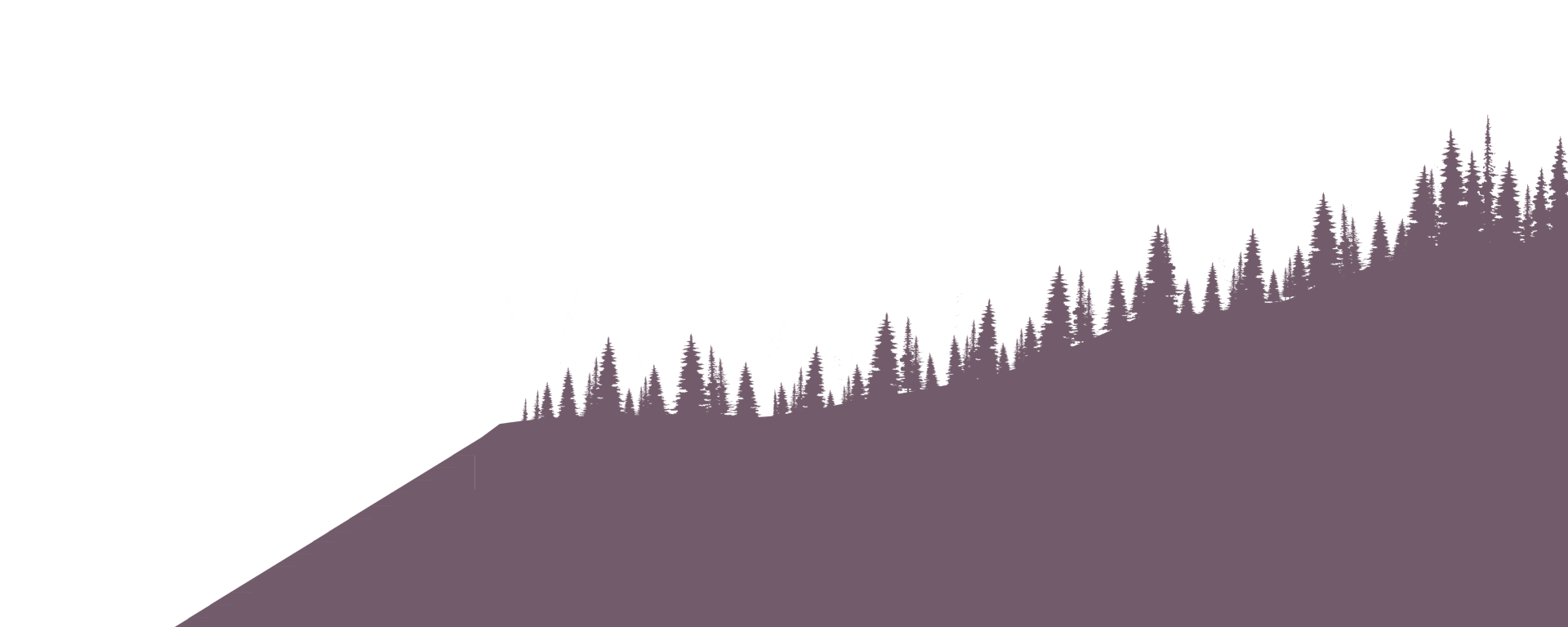 Layer 5