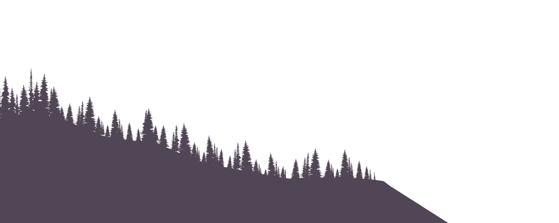 Layer 6